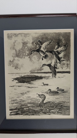 Pose de colvers &agrave; la hutte