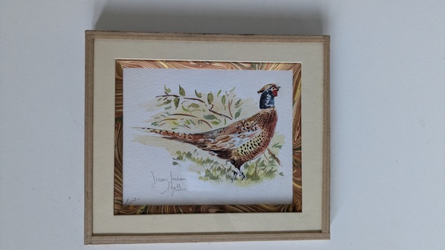 aquarelle jeune faisan
