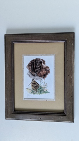 Portrait Griffon Korthals et b&eacute;casse